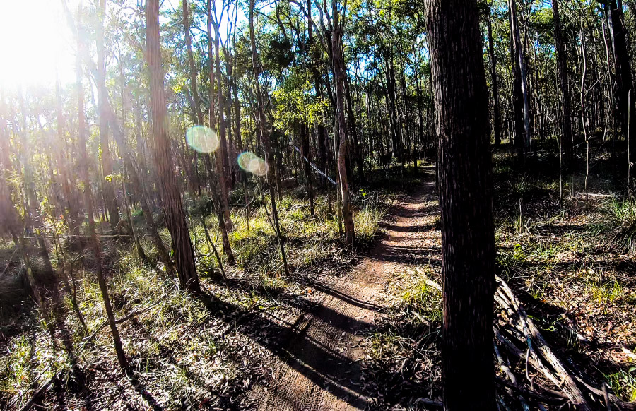 images/Go Or No Go - Daisy Hill Conservation Park/daisy hill conservation park - bushwalk - day use - mtb - 15.jpg
